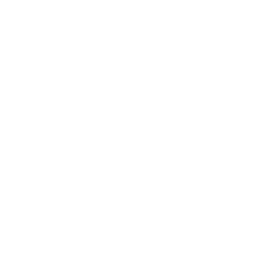 Icono del slider