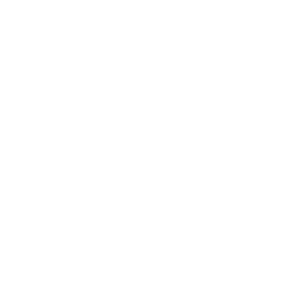 Icono del slider