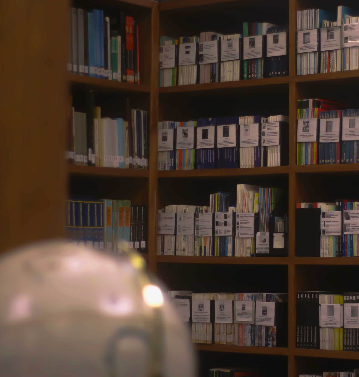 Imagen alusiva sobre la biblioteca de la universidad
